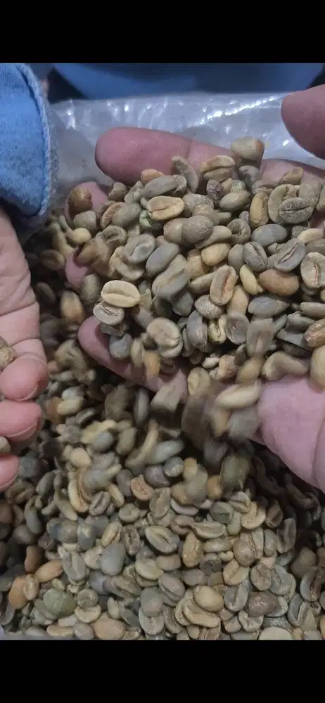 Kopi Gayo Arabica