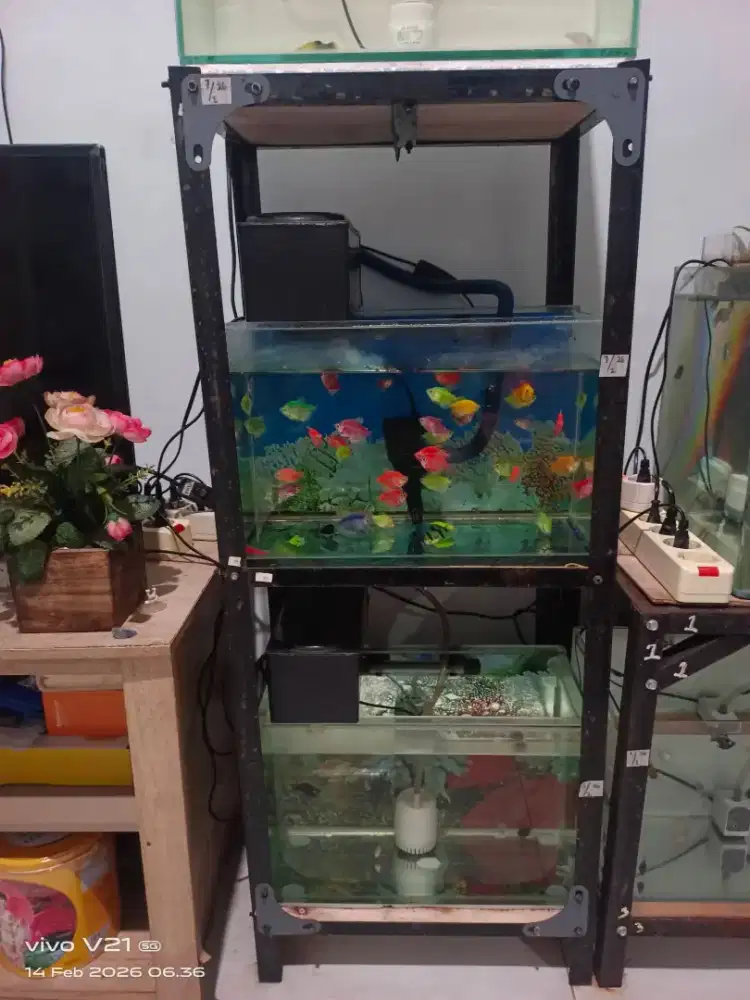 Dijual hanya rak aquarium
