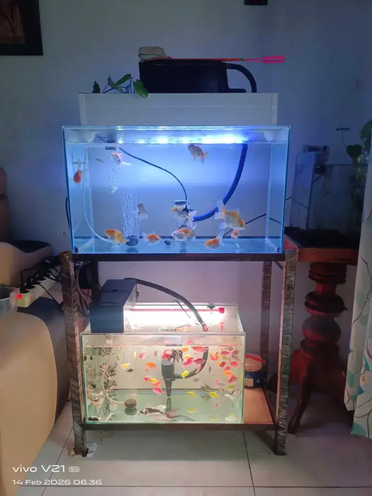 Dijual hanya rak aquarium