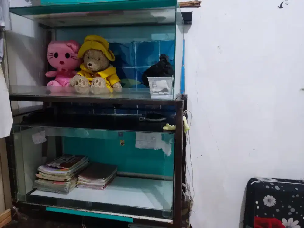 Aquarium ,ikan,kaca + rak 2 tingkat