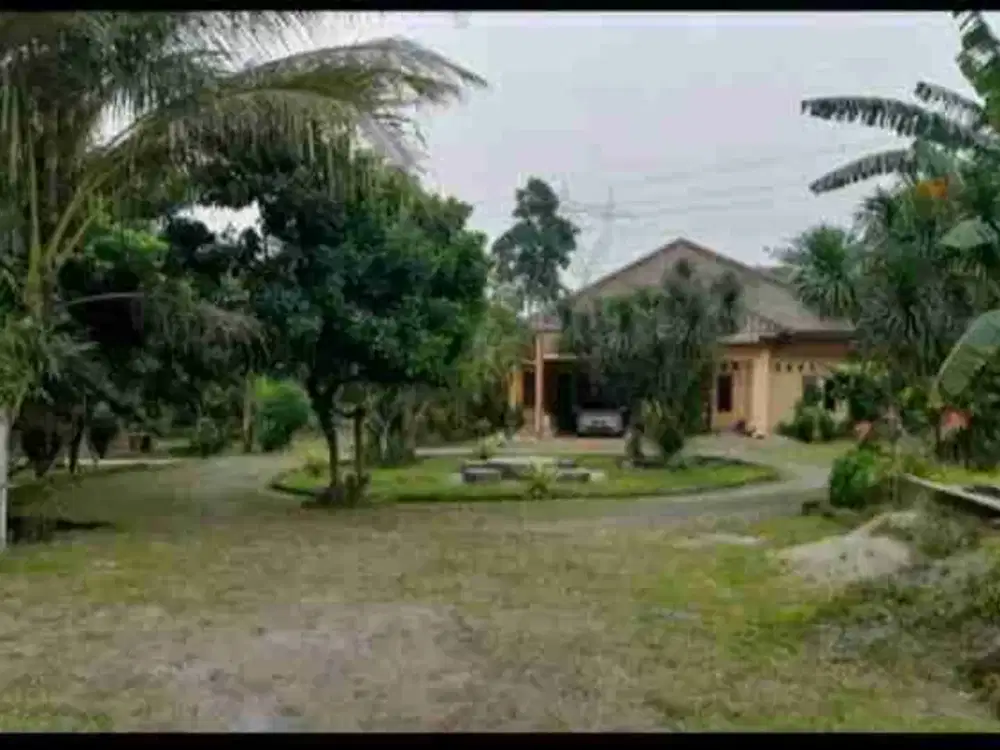 Dijual Cepat Murah Tanah BSD City
