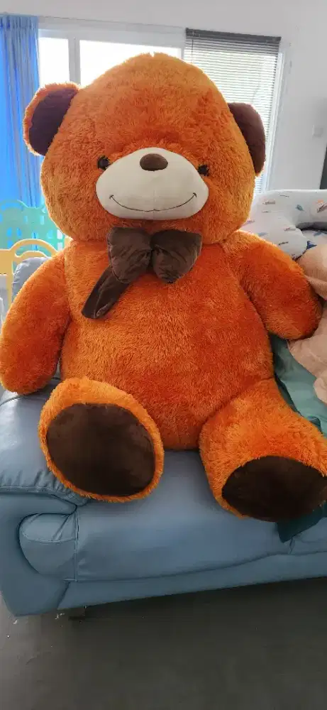 New Boneka Bear Jumbo Gift
