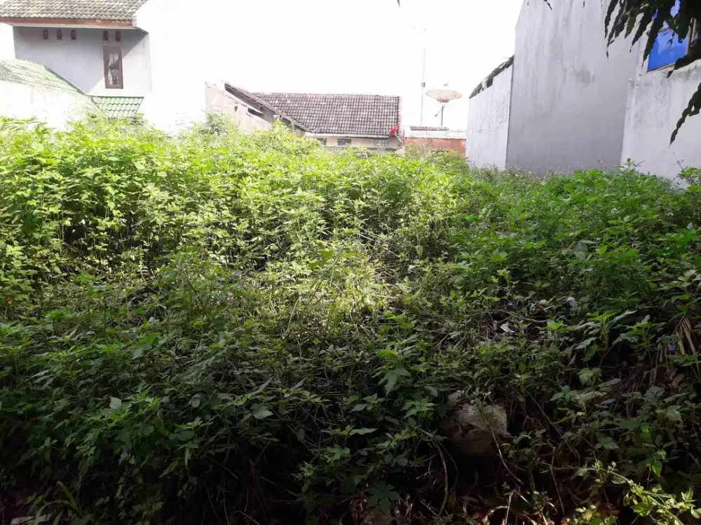 Dijual tanah pinggir jalan bagus untuk Investasi lokasi di daerah Ngalian, Semarang