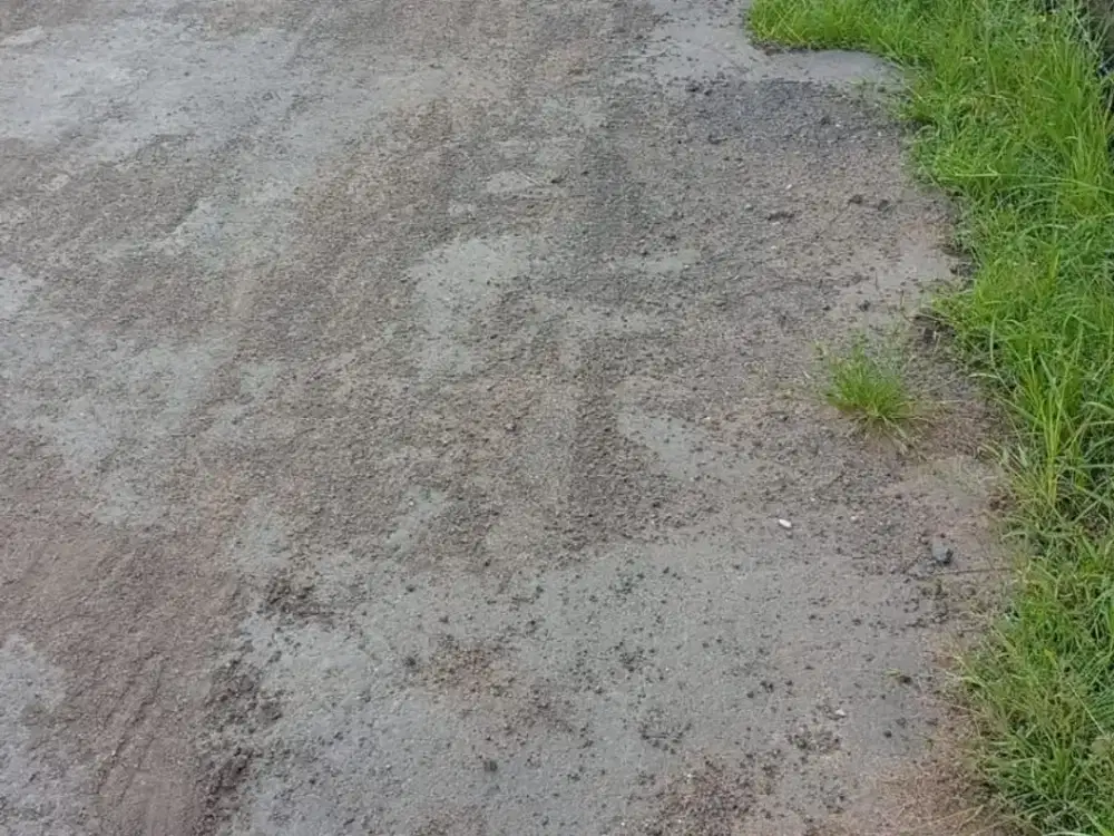 Dijual tanah  Lokasi jalan Padma, Penatih, Denpasar Timur