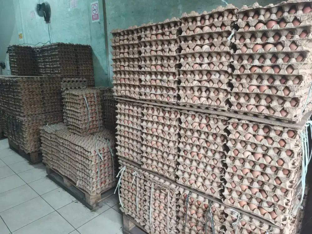 Kurir Motor dan Kurir Mobil