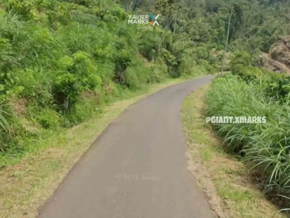 Tanah nol jalan aspal dijual murah di Precet Dalisodo Wagir Malang