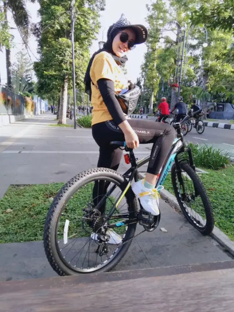 Jual cepat sepeda Pacific 200 invert