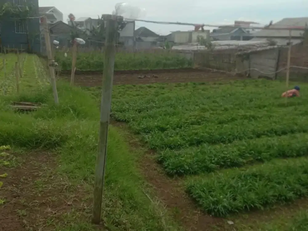 KAVLING LUAS JALUR UTAMA LOKASI STRATEGIS SIAP BANGUN DI CISARUA CIHANJUANG BANDUNG