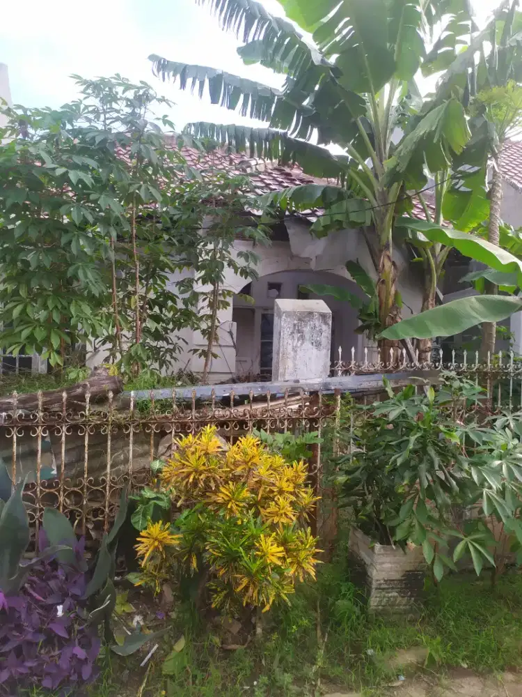 Dijual rmhsimprug poris