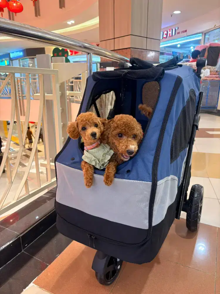 Stroller pet kingdom like new 1x pakai aja