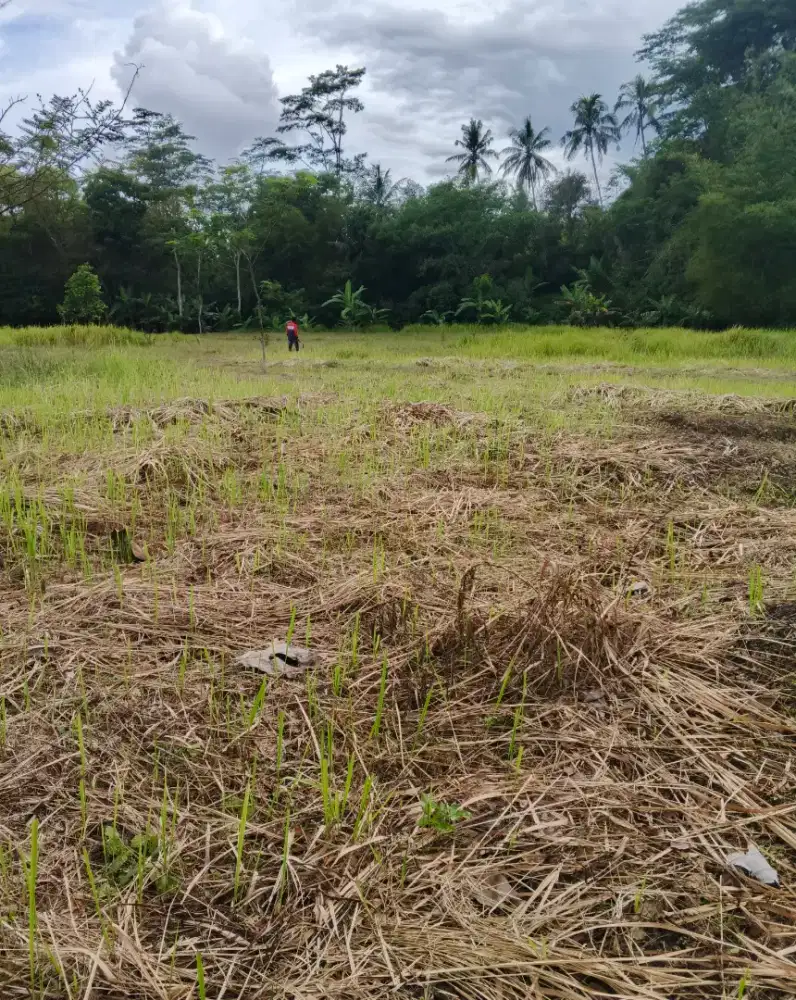 Dijual tanah dekat dengan kota magelang