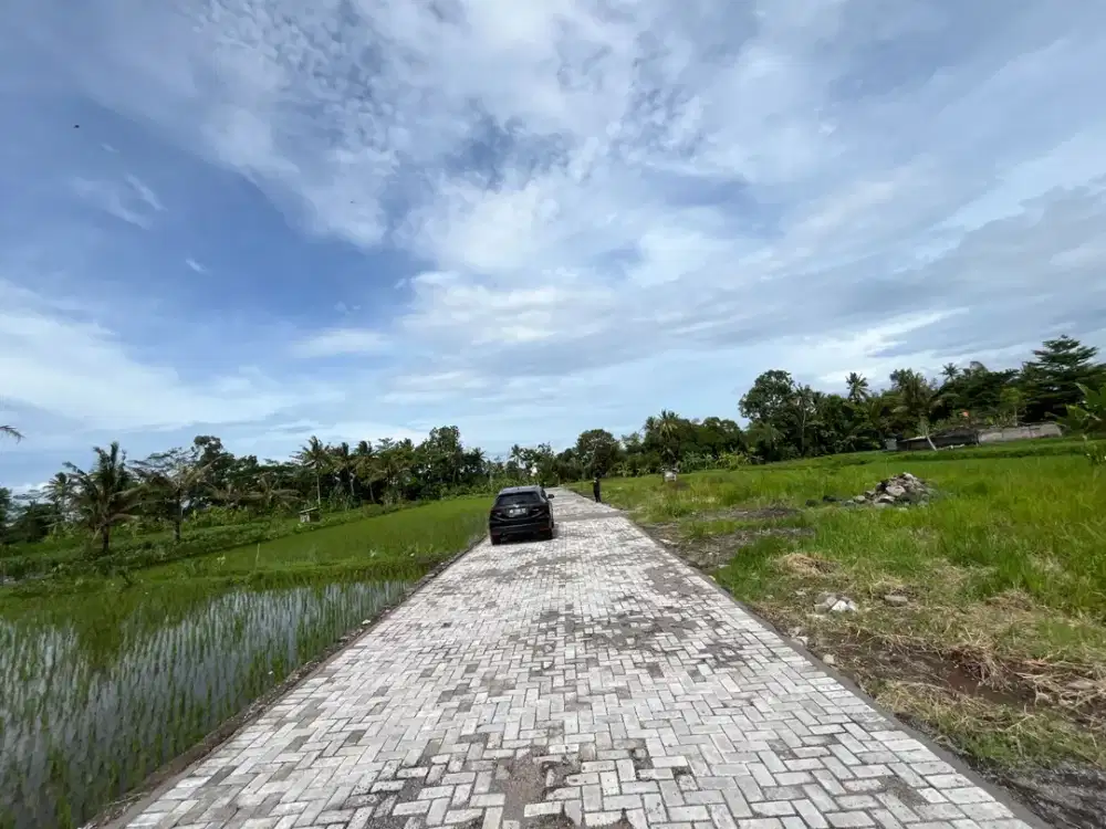 Tanah Jl Kaliurang km 14 View Sawah & Gunung Merapi
