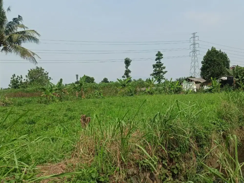 Kavling Tanah Bonus LM 10 Gr 9 Menit Stasiun Cilebut Tanah Lokasi Prospektif