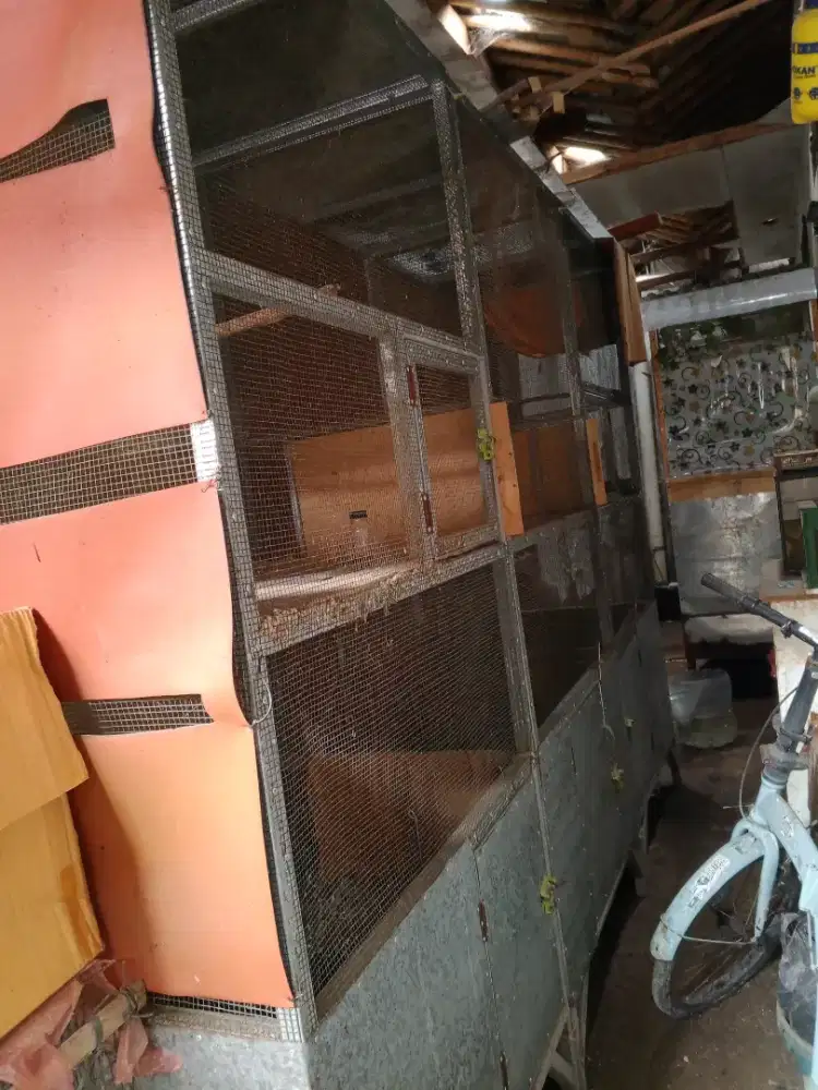 Kandang kucing/burung