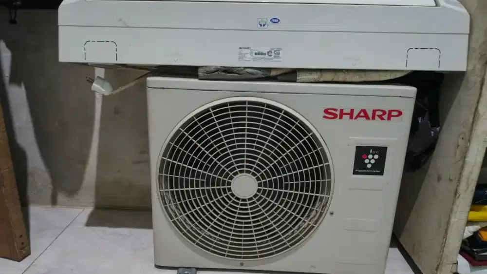 AC Sharp 1/2 PK