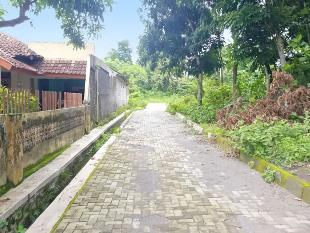 Tanah Kalasan Area Lpmp DIY Lokasi Strategis Lingkungan Sudah Jadi