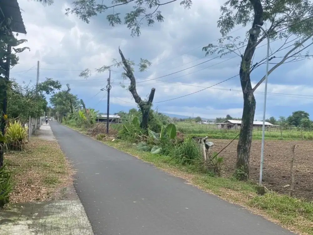 Tanah Strategis Barat SMP N 2 Kalasan, ROW 5 Meter