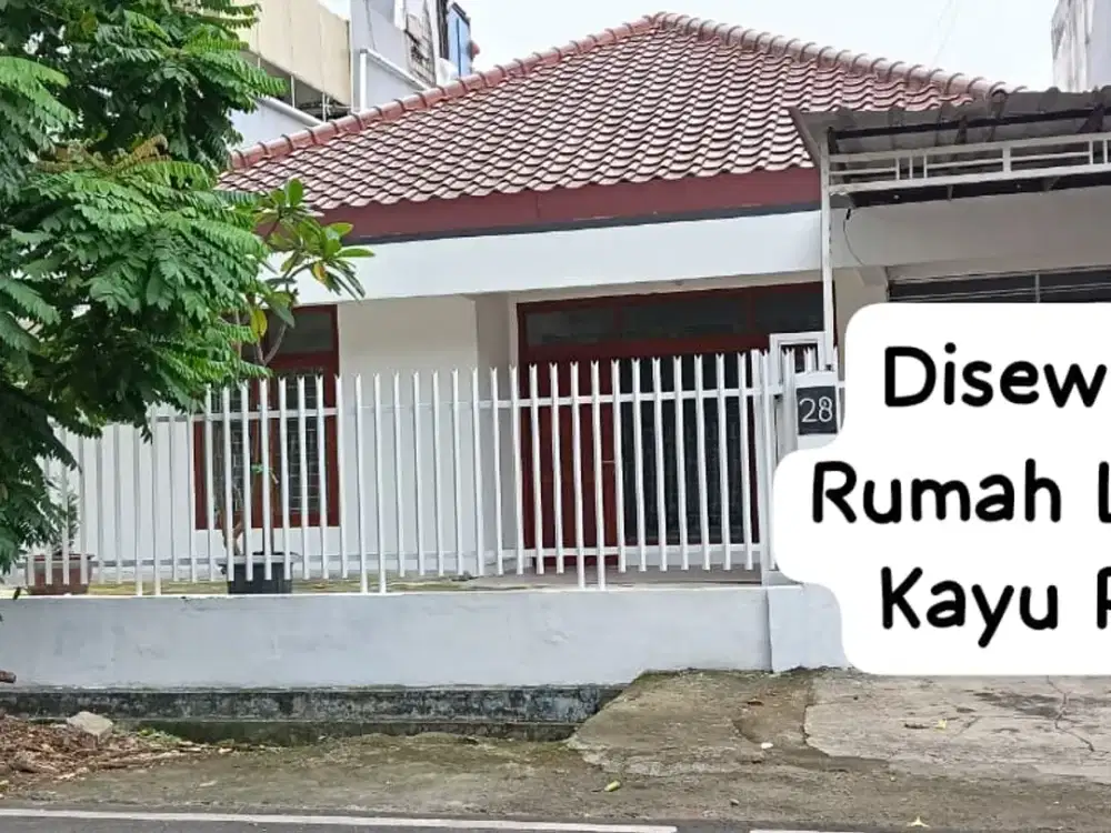 Disewakan Rumah Siap Huni Luas di Kayu Putih Jakarta Timur