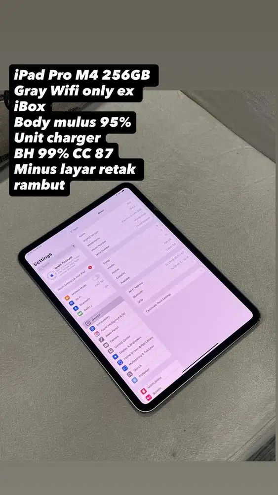 iPad Pro M4 11” 256GB Gray wifi only ex iBox