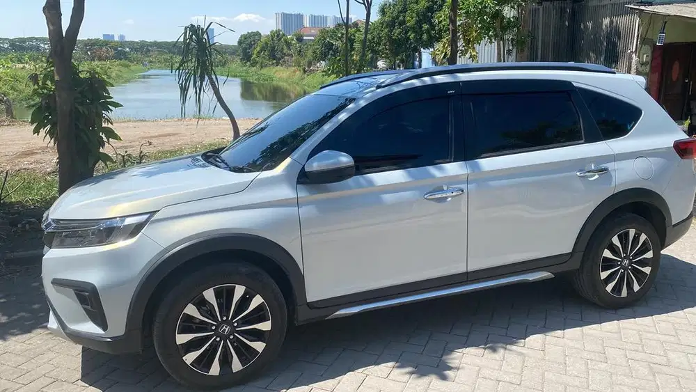 Anjem krywati atau siswae