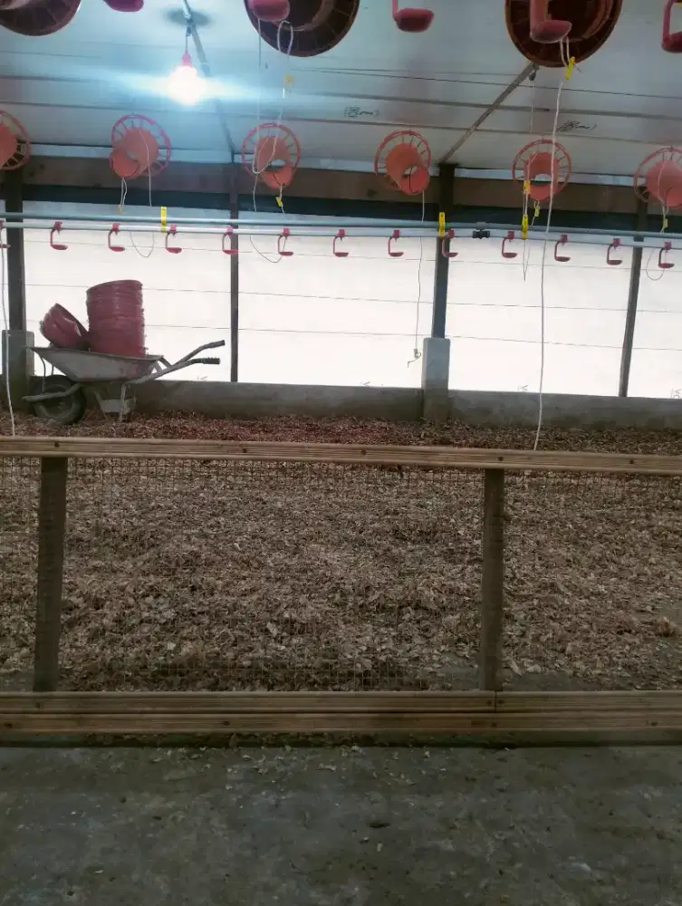 Mencari pekerjaan kuta alam