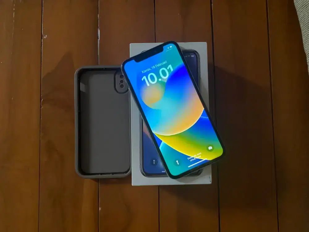 iphone x 256 gb