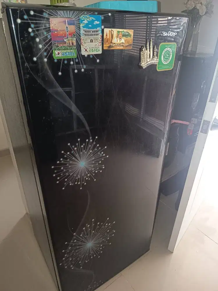 Kulkas Sharp 1 pintu