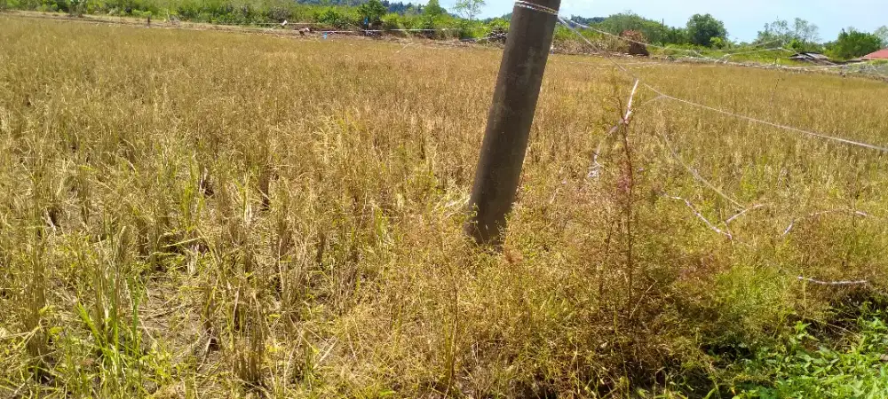 Dijual tanah dijalan sitiotio desa Aek tolang kab.tapteg sibolga