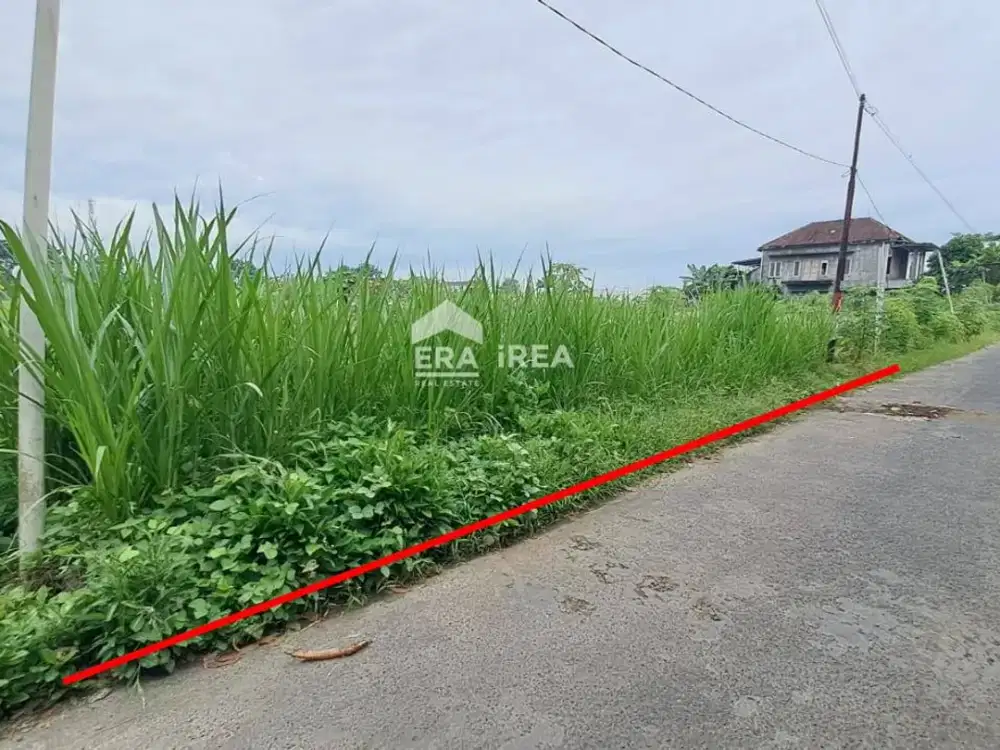 TANAH DIJUAL DI JOGJA DEKAT KAMPUS UNISA