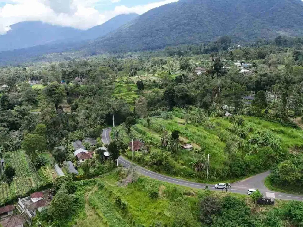 Dijual Lokasi View Cantik Dengan Posisi Hook Jalan  Di Tabanan Bali