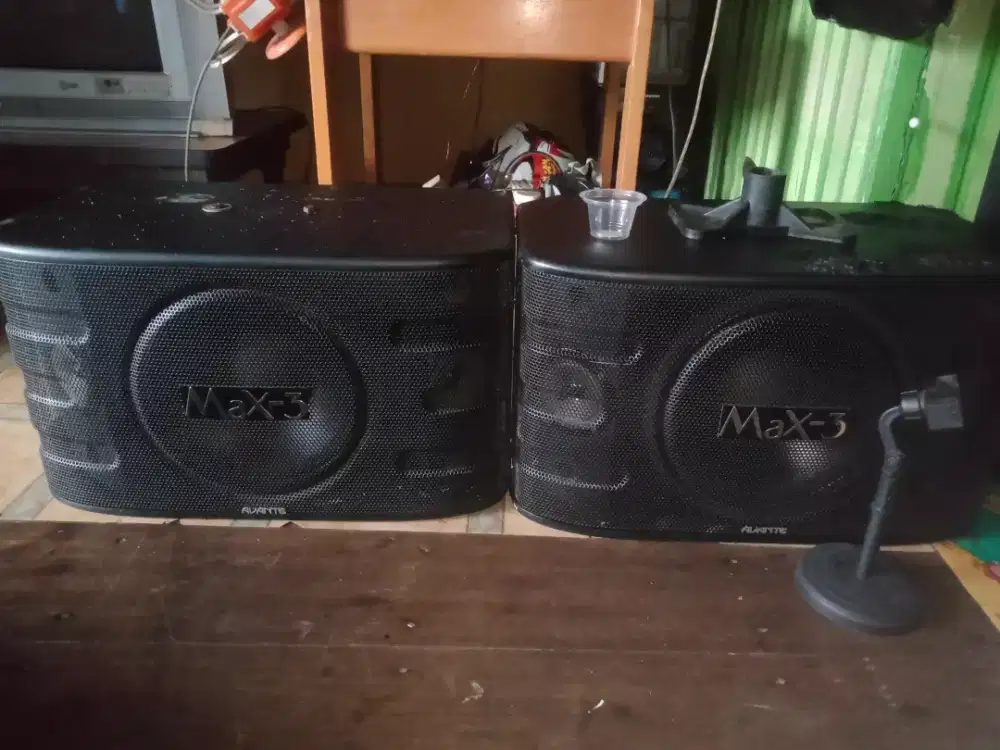 Spker fasive acr fublos 10 in