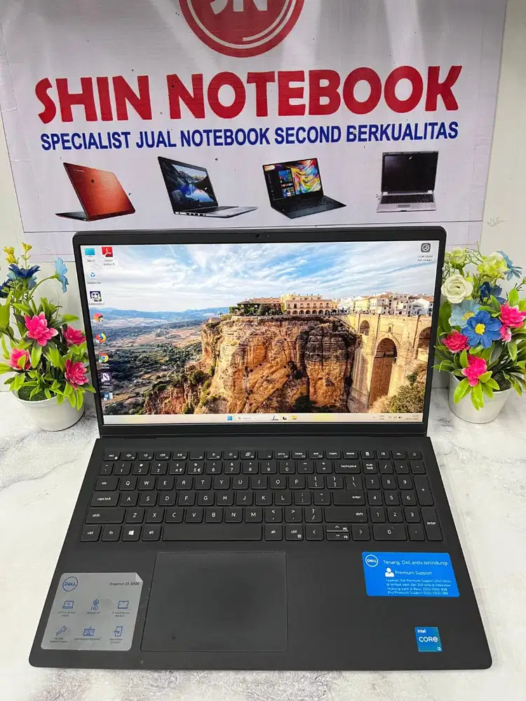 DELL INSPIRON 15 3000
