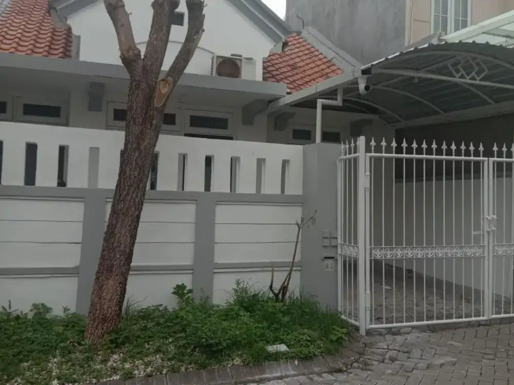Rumah Di Taman Puspa Raya Citraland Surabaya Siap Huni Baru Renov