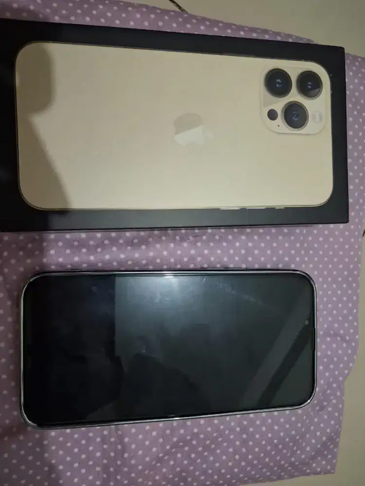 iPhone 13 promax 256