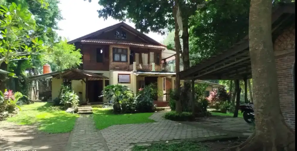 Rumah hijau seberang shila sawangan