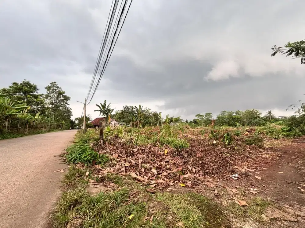 Cocok Untuk Tabungan & Hunian, Kavling Cisauk Dekat Tol Legok