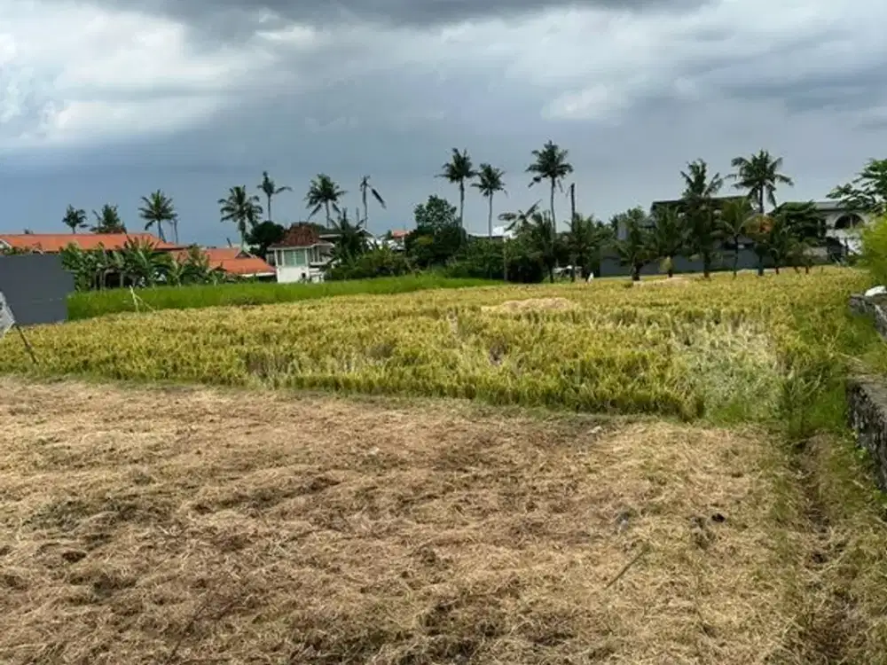 Land 5 Are For Leasehold 30 Years In Seseh Strategic and Peaceful Location