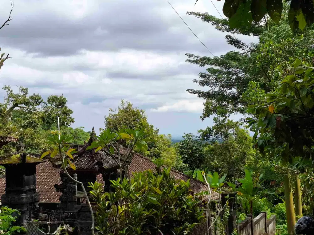 tanah kebun murah view laut dan sawah