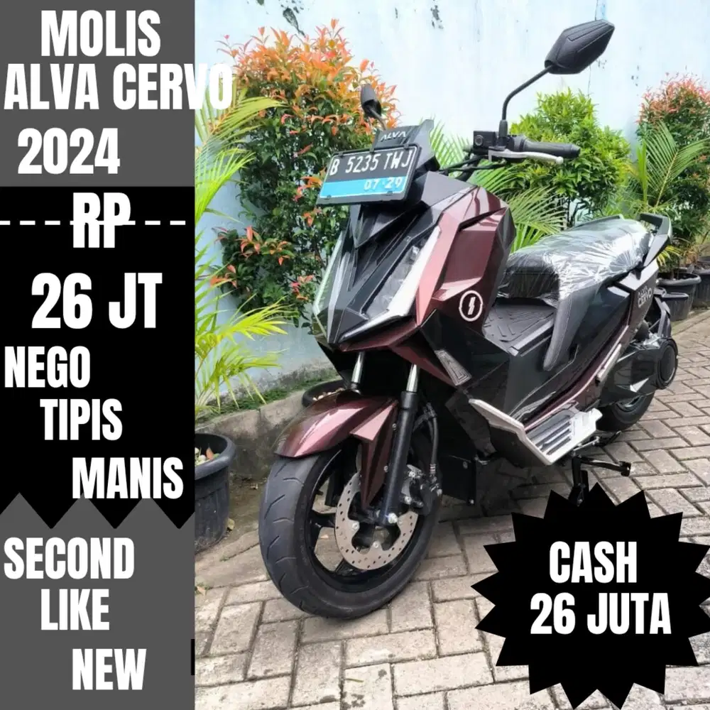 ALVA CERVO 2024 SECOND LIKE NEW