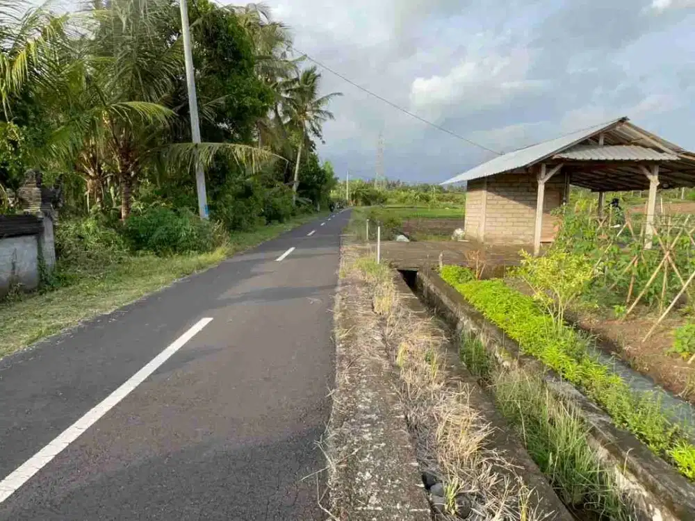 Dijual Tanah Luasan Kecil View Sawah Los Sungai Tabanan Bali