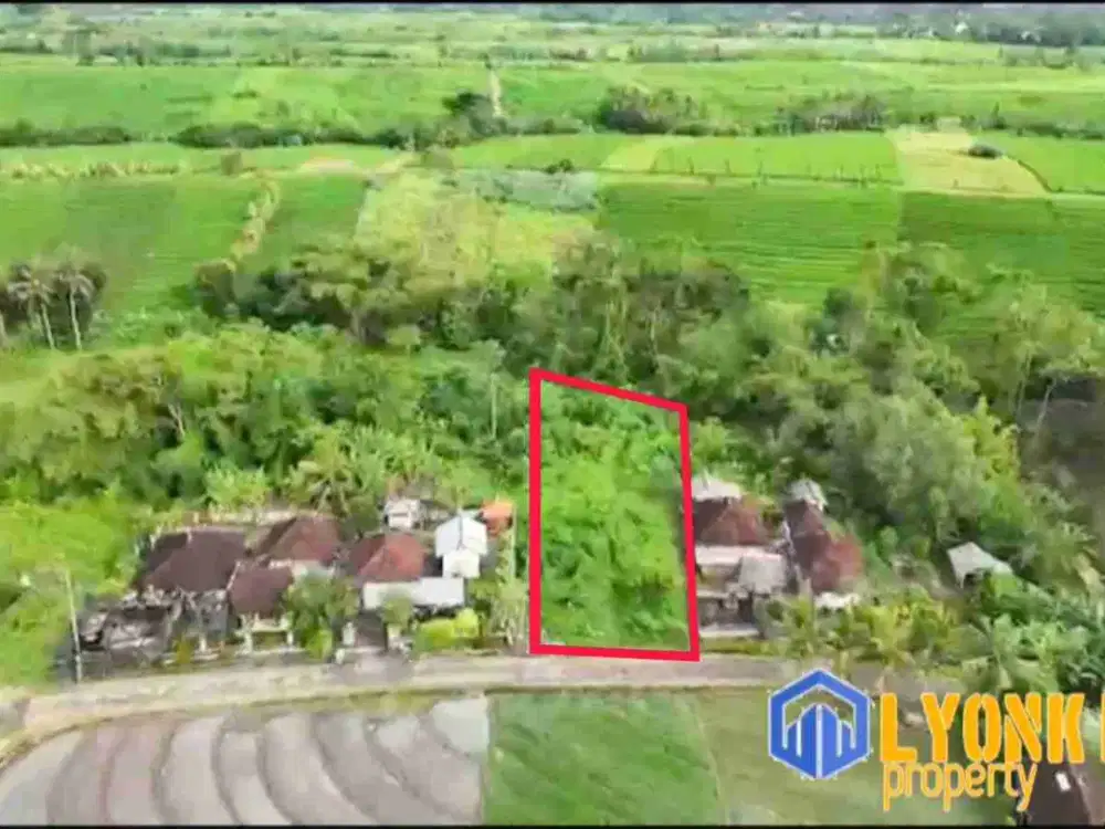 Dijual Tanah View Sawah Dan Sungai Contour Datar Di Tabanan Bali