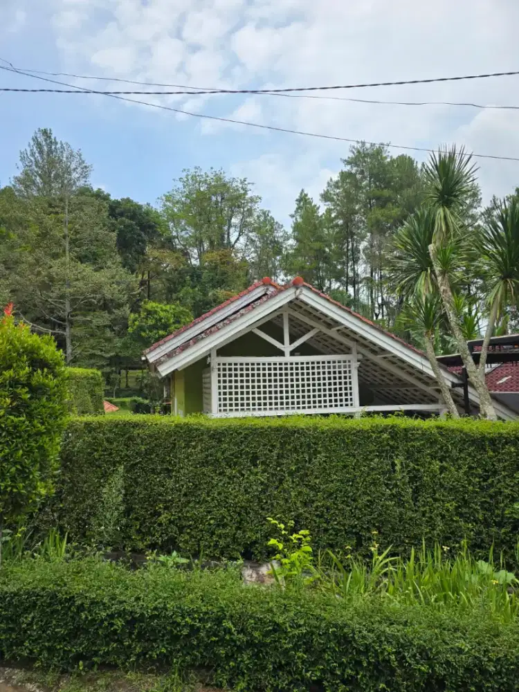 Rumah masih condisi bagus