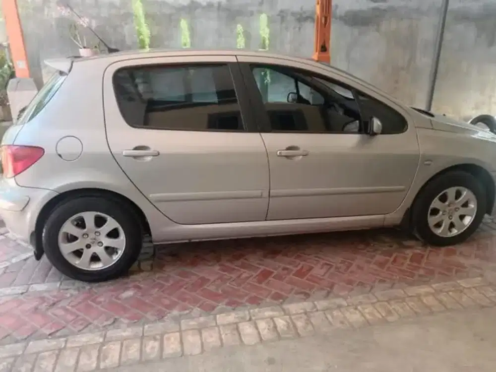 Peugeot 307 Sporty Manual