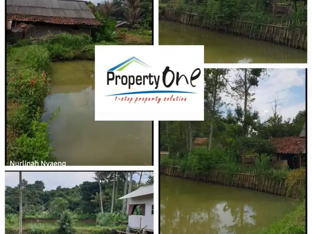 Jual Tanah Kavling Bisa Untuk Kolam Ikan Di Gunung Sindur