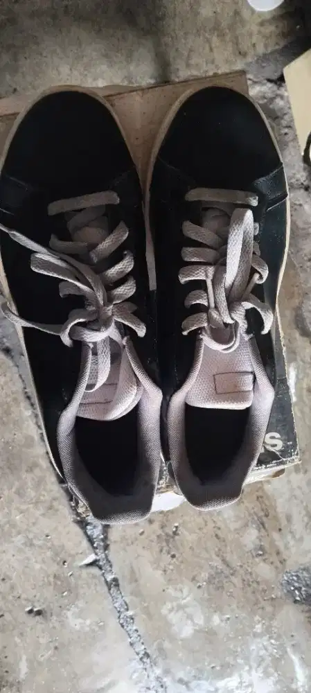 Sepatu adidas sample rare