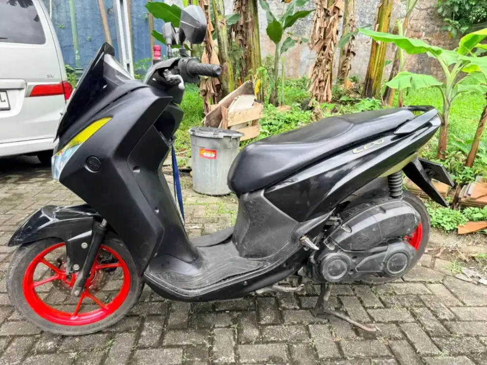 Lexi 2019 pjk off 2021