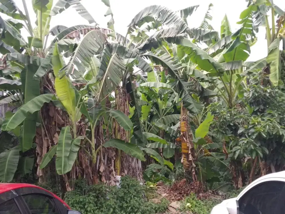 7 Menit Universitas Indonesia Kavling Prospektif Bonus Kulkas