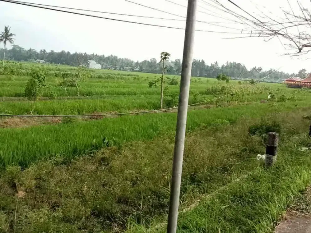 Tanah Cocok Buat Investasi dan Usaha pinggi Jalan Raya