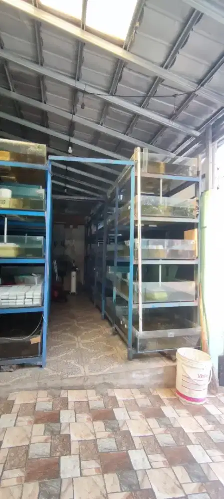 Terima hibah aquarium bekas  & rak nya jika ada.