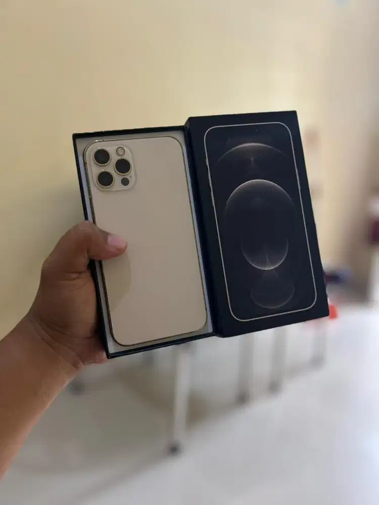 iPhone 12 Pro 256gb Resmi Cukai
